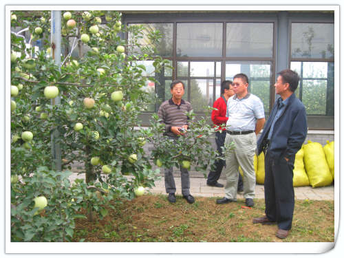 2011.9.28煙臺農科院領導來天匯園參觀指導