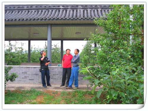2011.5.26國家蘋果產業技術體系青島綜合試驗站來昌平天匯園參觀交流